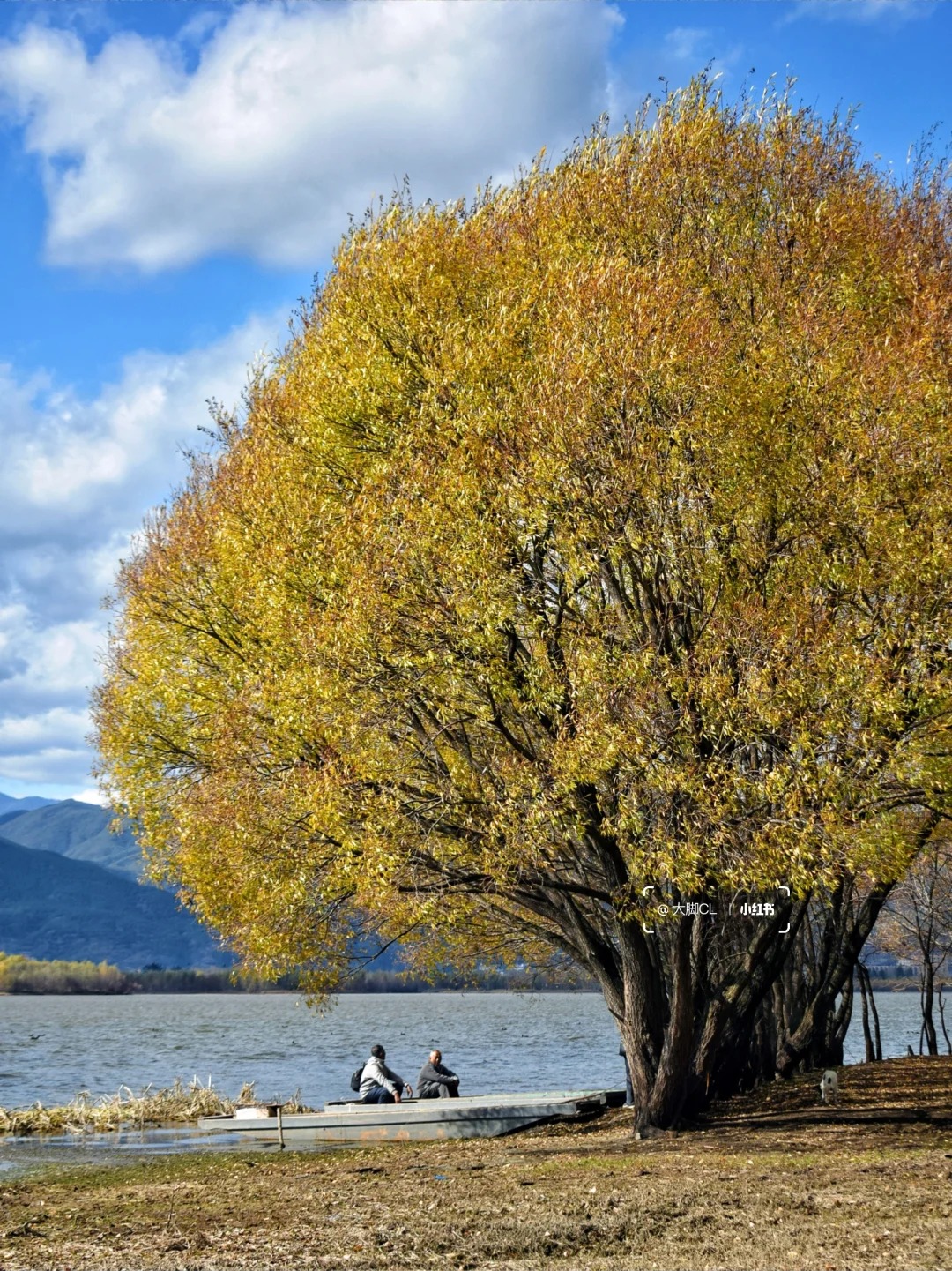 我找到了大理彩虹森林❗正是橙黄橘绿时_11_大脚CL_云南-来自52tours 我爱旅游网
